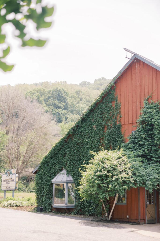 The barn with an ivy wall at the wedding venue The Greenhouse At Bittersweet in La Crosse.